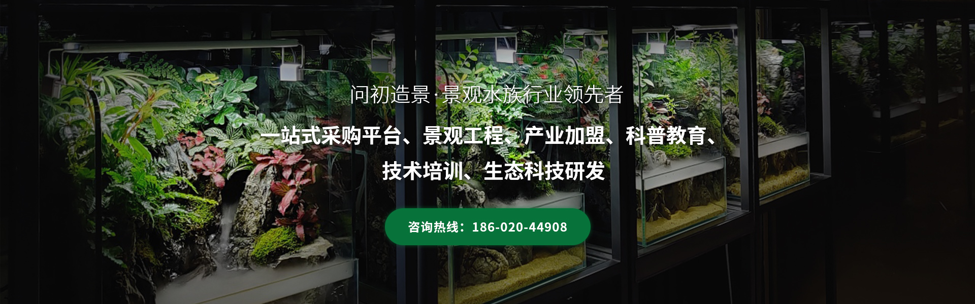 广州问初造景专注雨林生态缸景观行业超6年