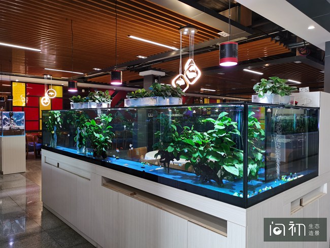 广州荔湾区花卉博览园水族餐厅